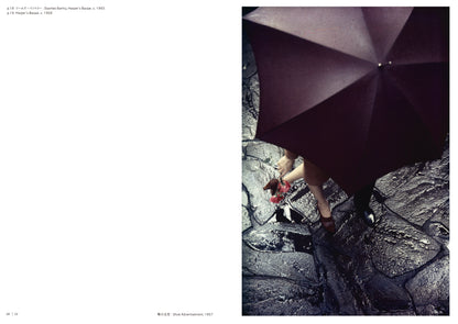 ソール・ライター「All about Saul Leiter ソール・ライターのすべて」（送料無料）