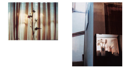 奥山由之 写真集「flowers」（送料無料）