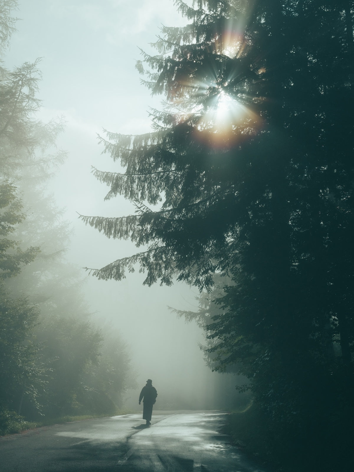 Hiroki.Nose/野瀬大樹｜Lightroomプリセット「玄-QUALIA」「玄-ANIMA」