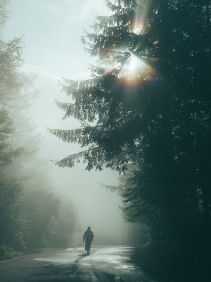 Hiroki.Nose/野瀬大樹｜Lightroomプリセット「玄-QUALIA」「玄-ANIMA」