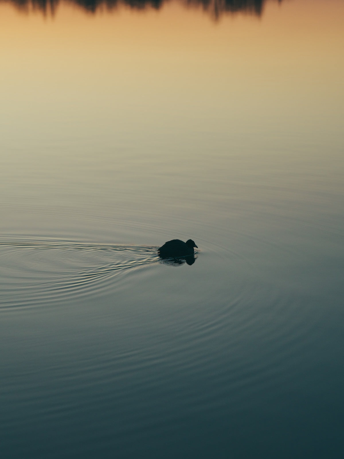 Hiroki.Nose/野瀬大樹｜Lightroomプリセット「玄-QUALIA」「玄-ANIMA」