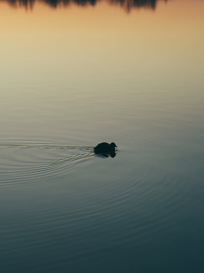 Hiroki.Nose/野瀬大樹｜Lightroomプリセット「玄-QUALIA」「玄-ANIMA」