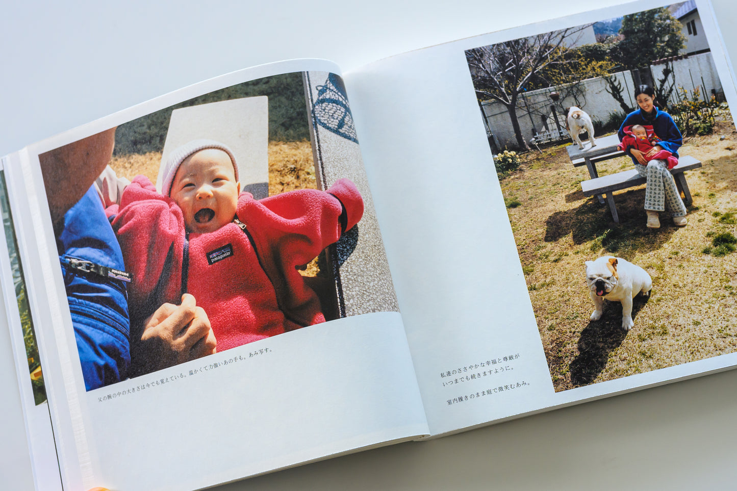 藤代冥砂 写真集「もう、家に帰ろう2」（送料無料）