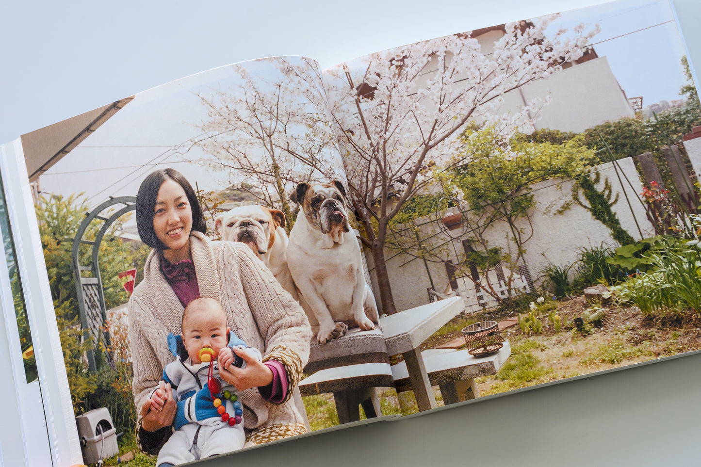 藤代冥砂 写真集「もう、家に帰ろう2」（送料無料）