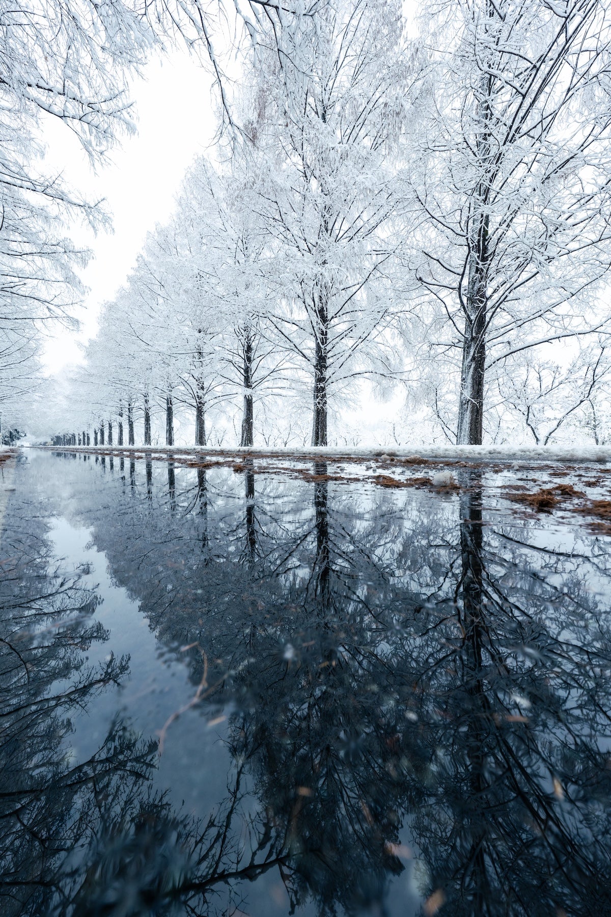 Takahiro Bessho | Lightroom presets "Ano-Ume" and "Ano-Metaseko"