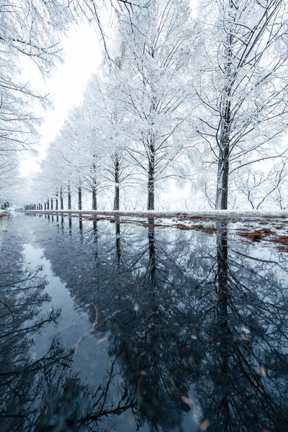 Takahiro Bessho | Lightroom presets "Ano-Ume" and "Ano-Metaseko"