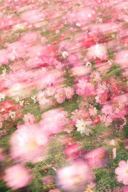 小春ハルカ オリジナルクリアファイル（送料無料）