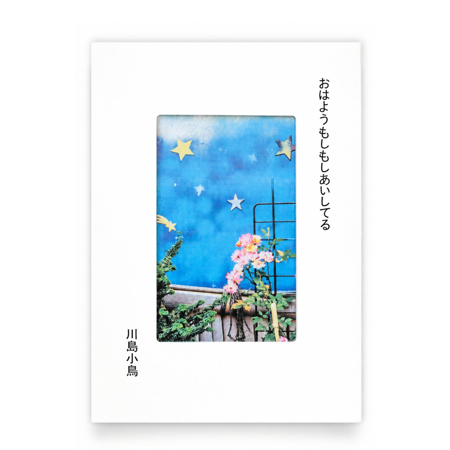 川島小鳥 写真集「おはようもしもしあいしてる」（送料無料）