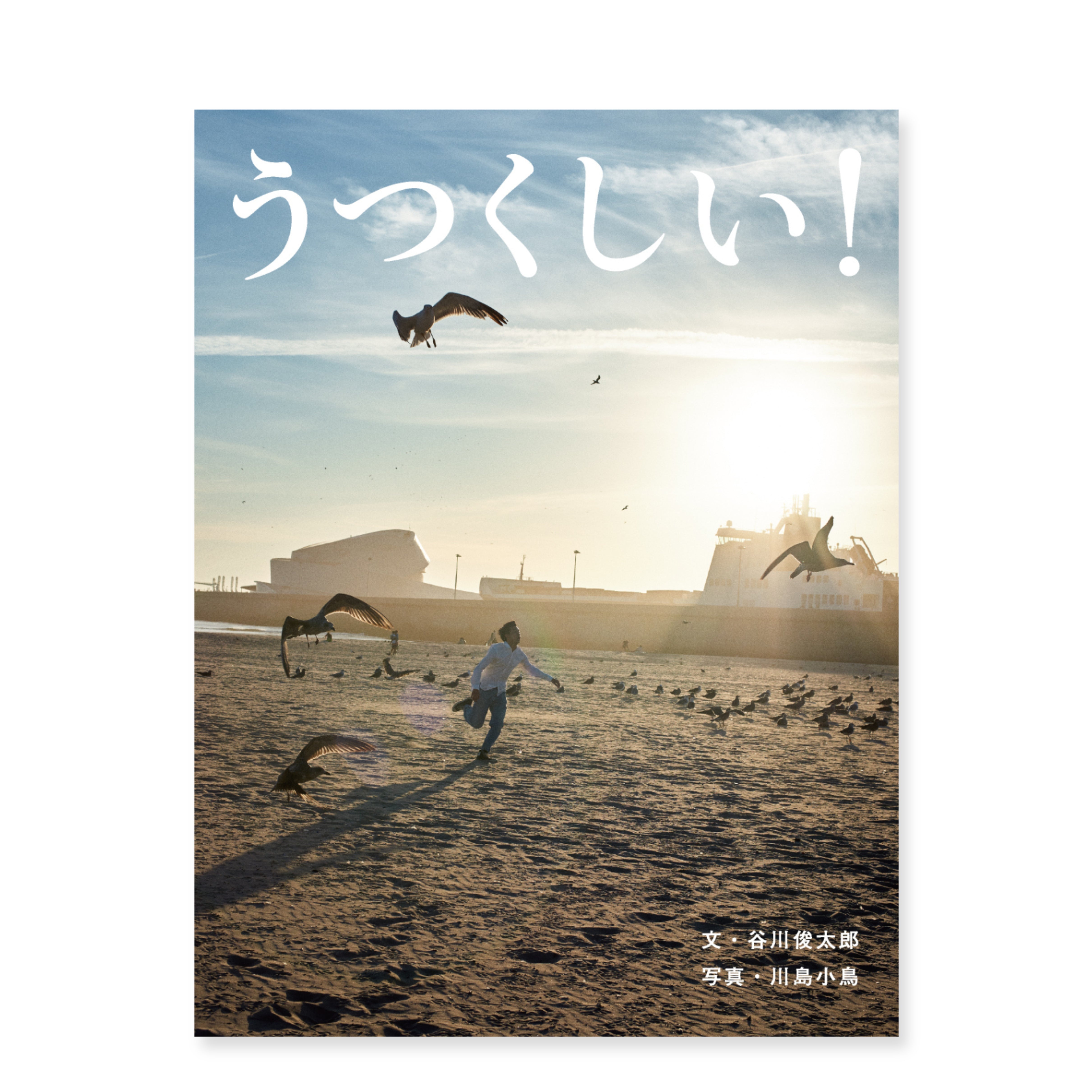 BOOK – GENIC SHOP