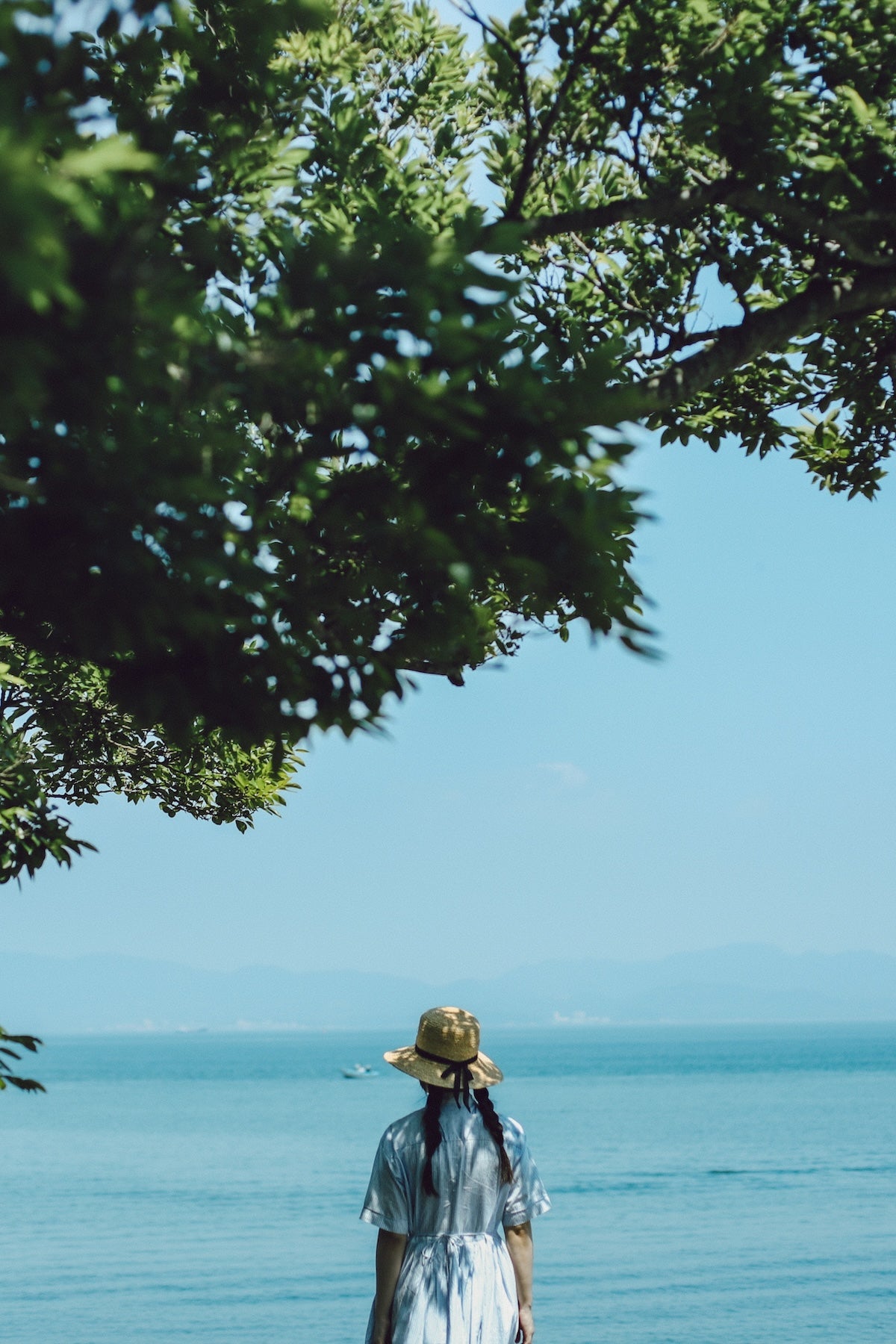 土居夏実｜最新版 Lightroomプリセット「Blue film」「Orange film」