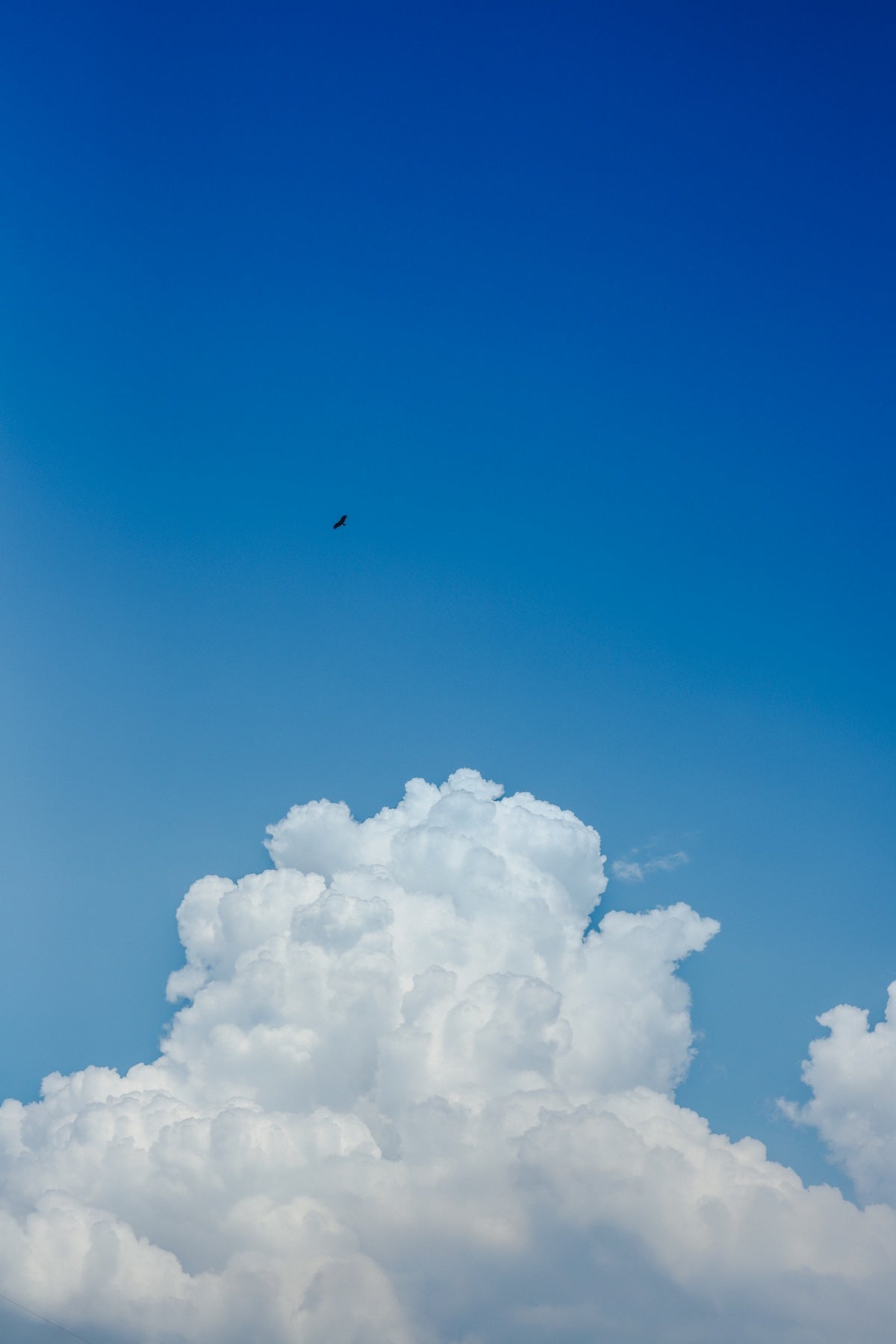 土居夏実｜最新版 Lightroomプリセット「Blue film」「Orange film」