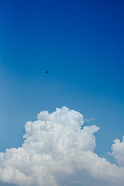 土居夏実｜最新版 Lightroomプリセット「Blue film」「Orange film」