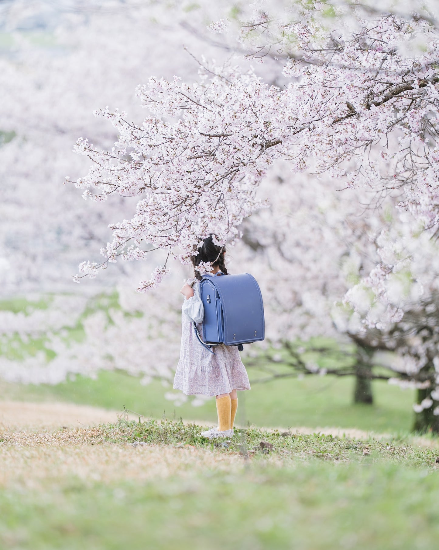 yuria｜Lightroomプリセット「misty」「daily」