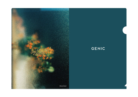 Kimura Hinami オリジナルクリアファイル（送料無料）