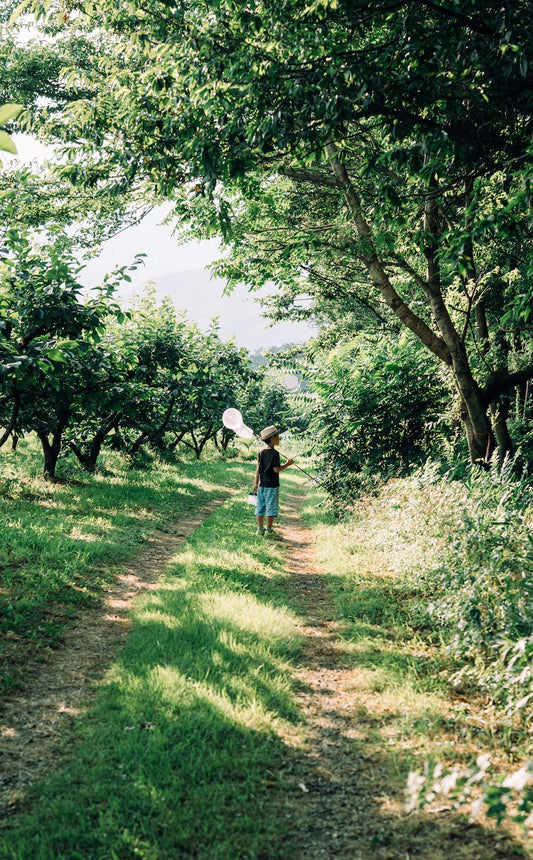 はらかずあき｜Lightroomプリセット「Komorebi」「Natsuzora」