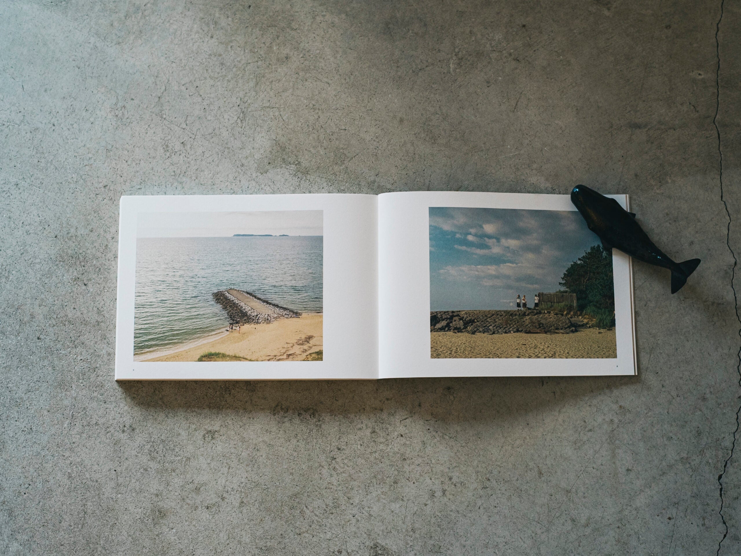 西山勲 写真集「Papa, You're Crazy〈クジラと天体、父の島〉」（送料