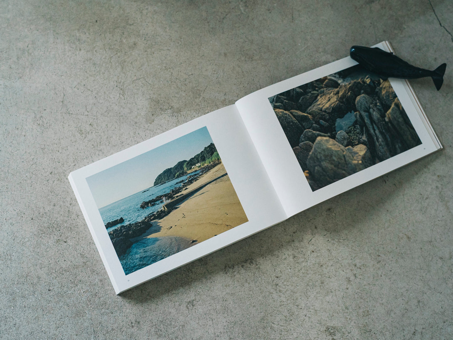 西山勲 写真集「Papa, You’re Crazy〈クジラと天体、父の島〉」（送料無料）