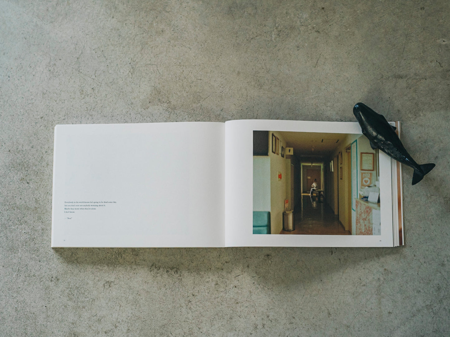 西山勲 写真集「Papa, You’re Crazy〈クジラと天体、父の島〉」（送料無料）