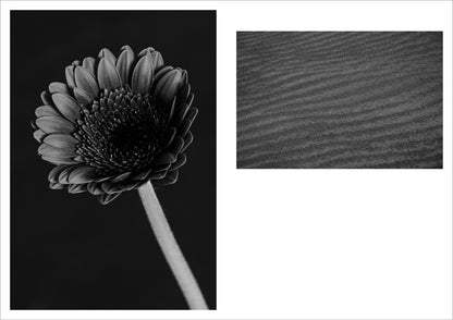 【 特典付き先行予約 】古屋呂敏写真集「MY FOCAL LENGTH」