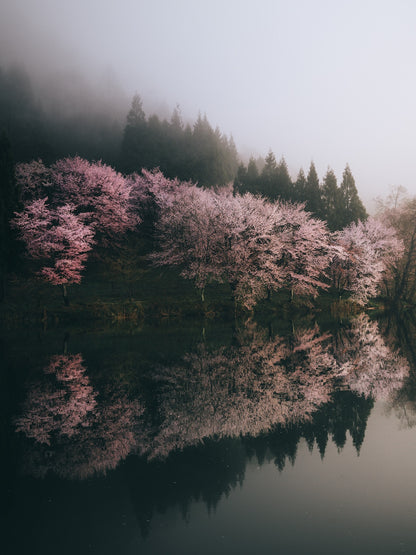 Hiroki.Nose/野瀬大樹｜Lightroomプリセット「玄-QUALIA」「玄-ANIMA」