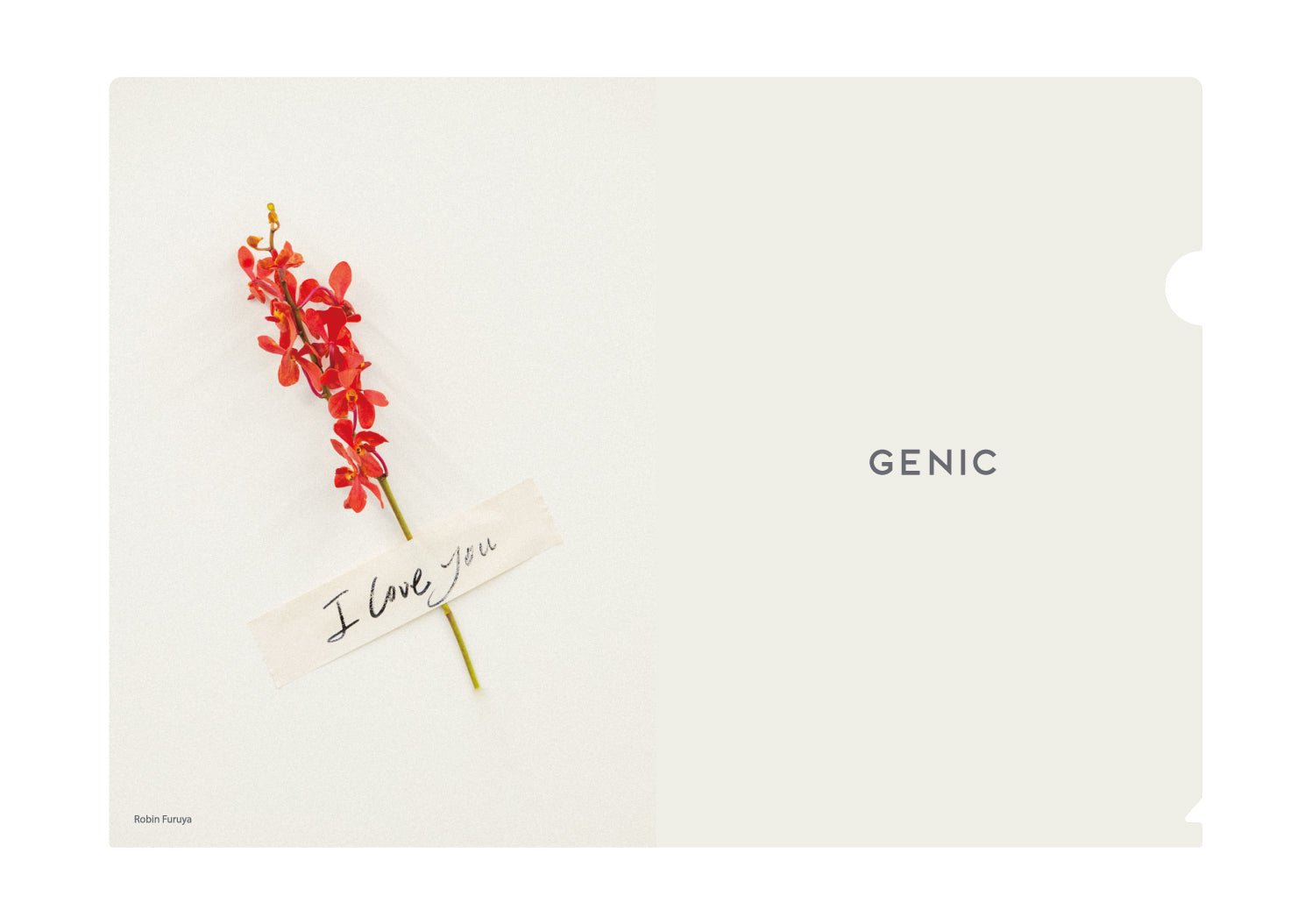 GENIC クリアファイル　4種セット クリアファイル_A_ソロ - GOODS | 男女7人組ダンス&ボーカルグループ