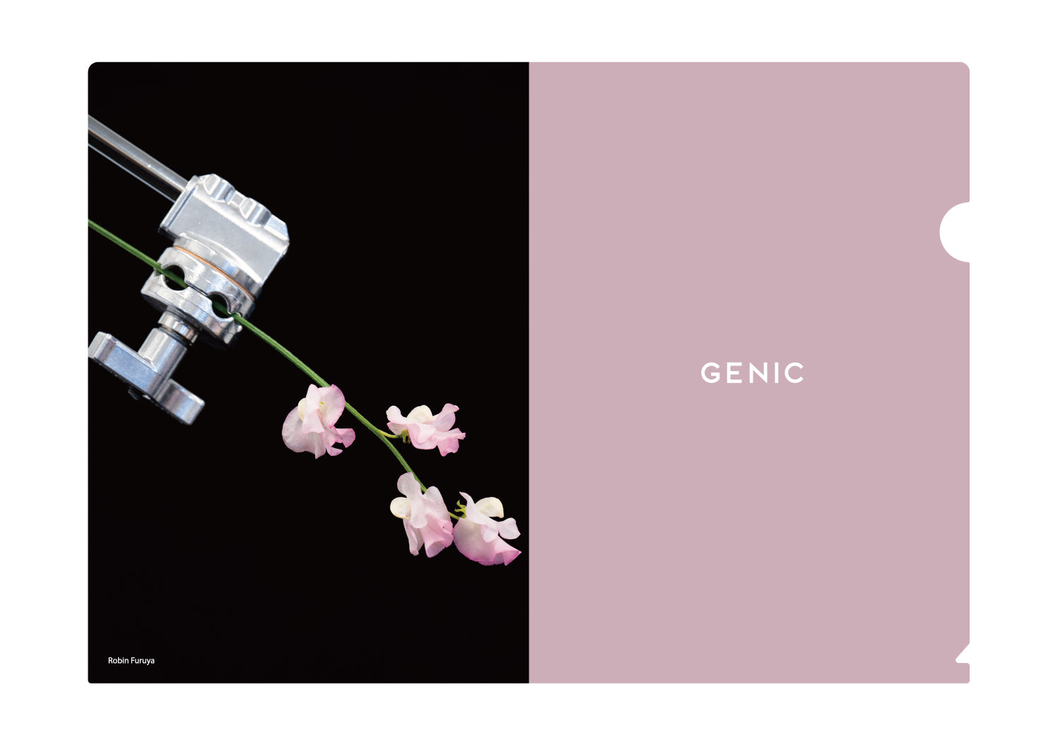 古屋呂敏 オリジナルクリアファイル 3枚セット（送料無料） – GENIC SHOP