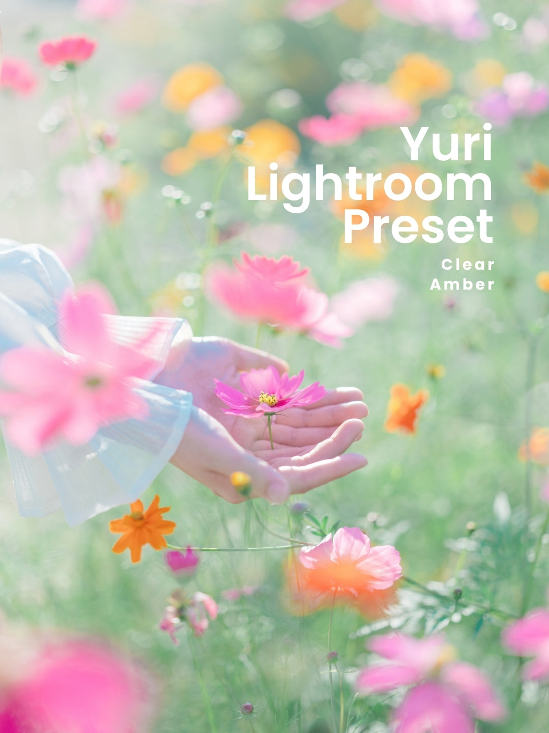 Yuri | Lightroom Presets "Clear", "Amber"