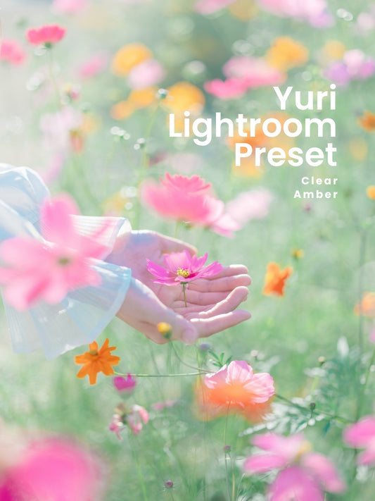 Yuri | Lightroom Presets "Clear", "Amber"