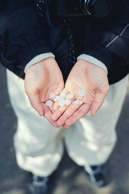 Kimura Hinami ｜最新版 Lightroomプリセットvol.2「春影」「夏影」