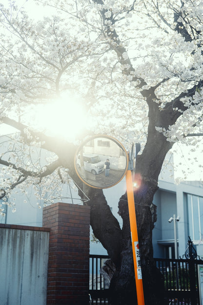 Kimura Hinami ｜最新版 Lightroomプリセットvol.2「春影」「夏影」