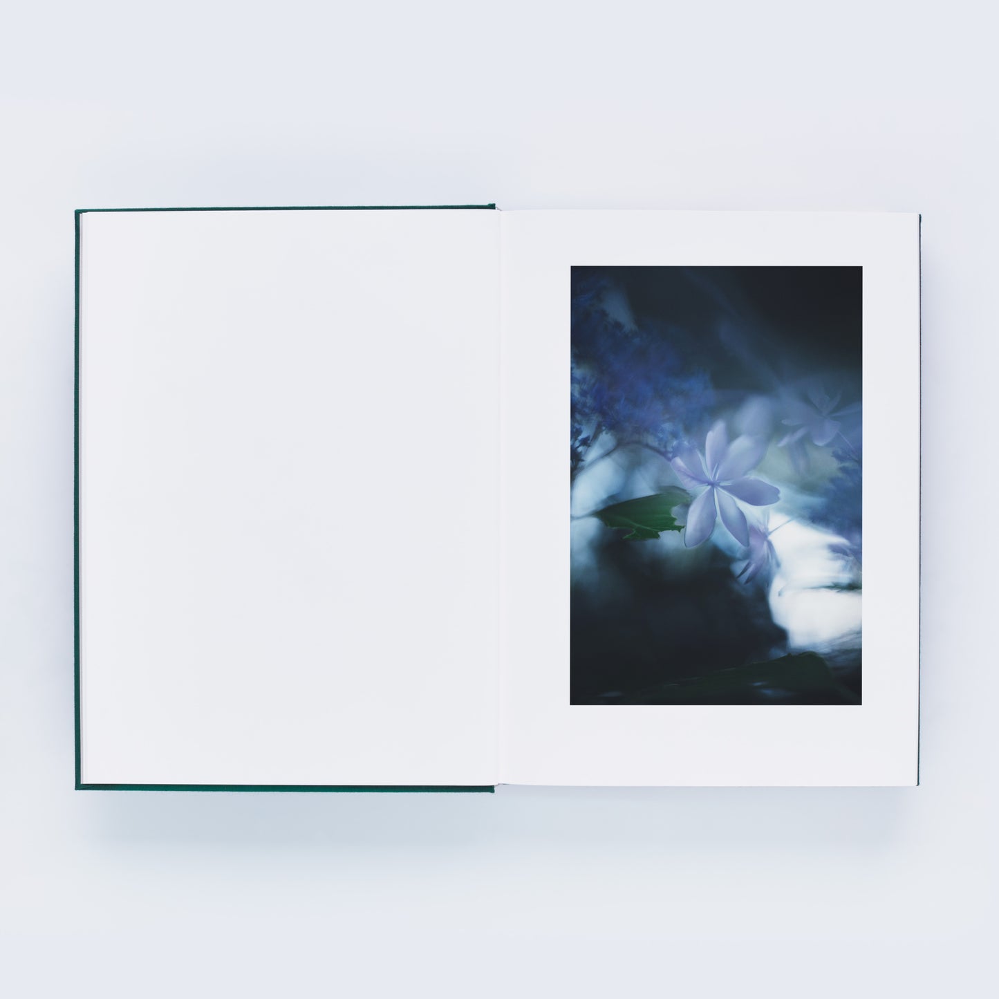 瀧本幹也 写真集「LUMIÈRE」（送料無料）