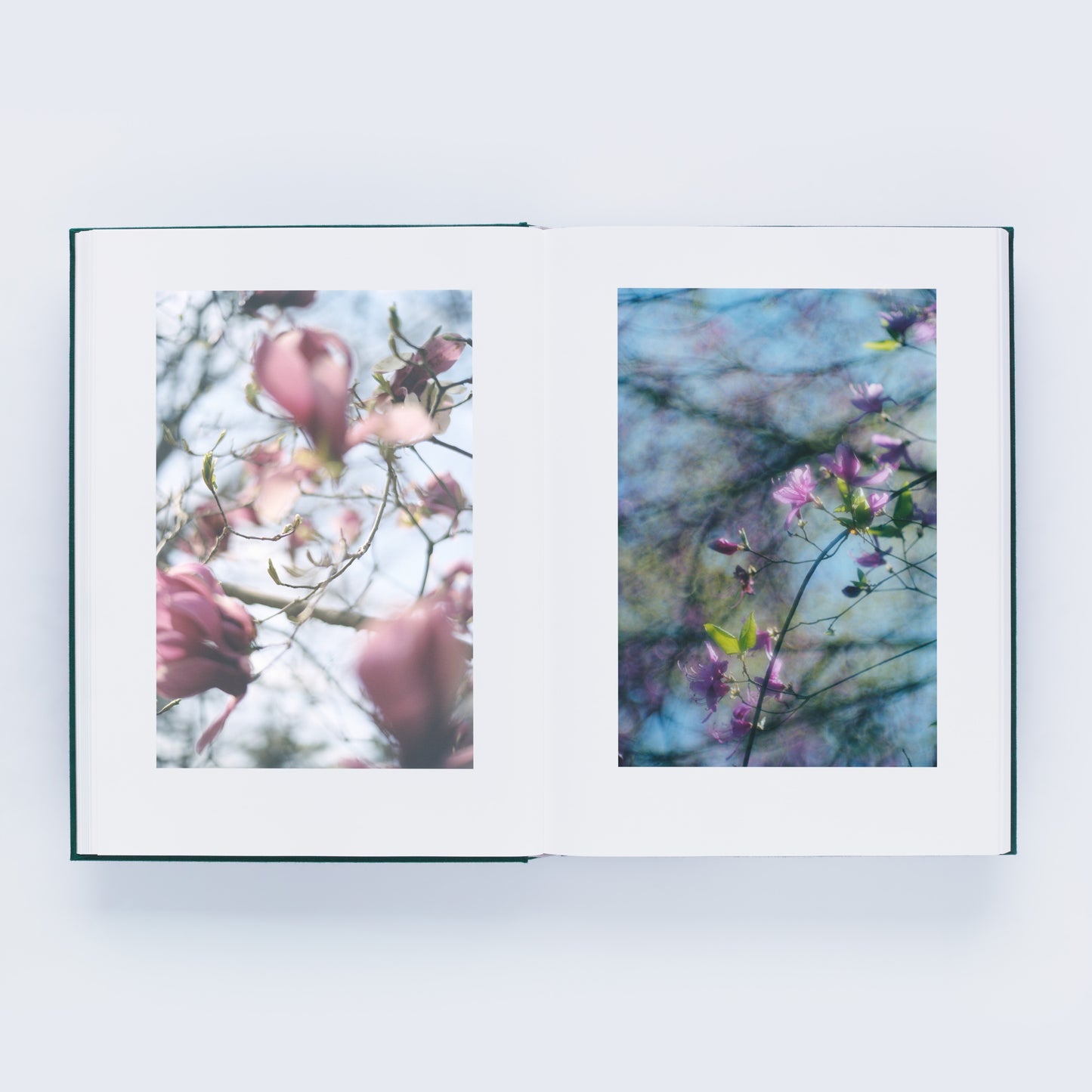 瀧本幹也 写真集「LUMIÈRE」（送料無料）