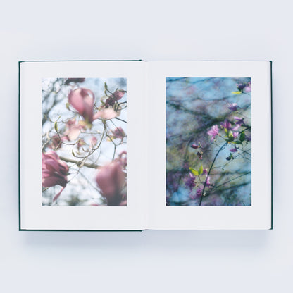 瀧本幹也 写真集「LUMIÈRE」（送料無料）