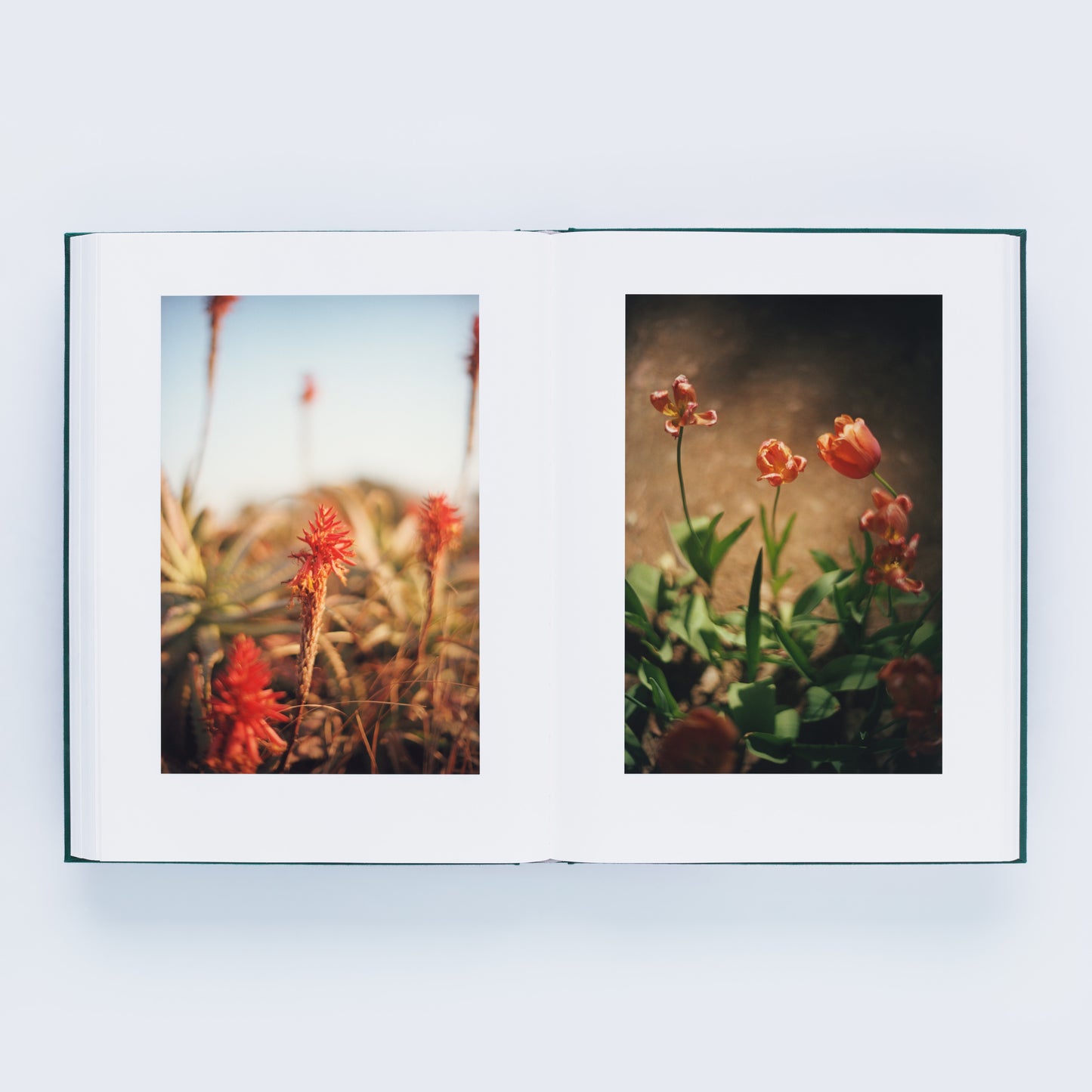 瀧本幹也 写真集「LUMIÈRE」（送料無料）