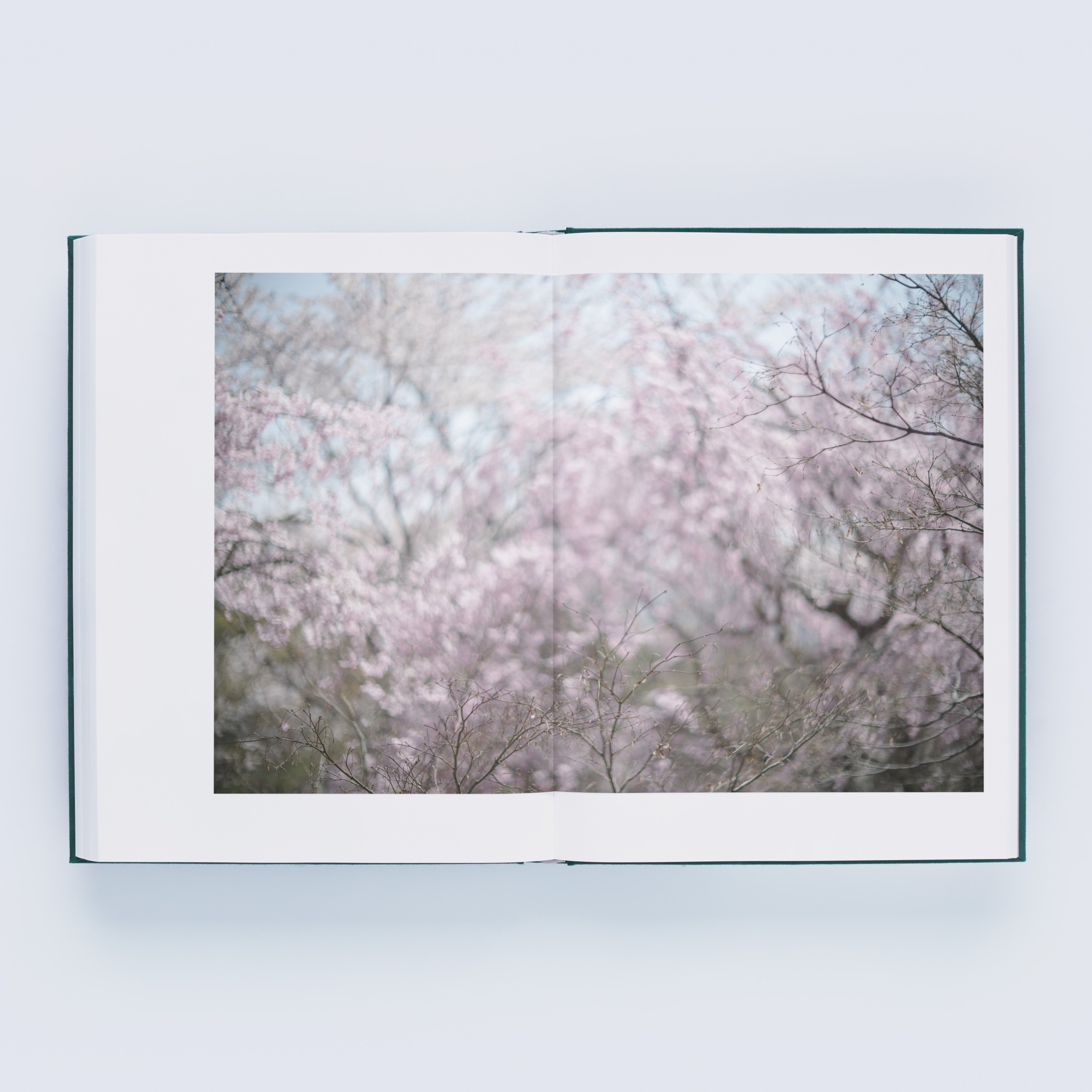 LUMIÈRE 瀧本幹也 写真集 瀧本幹也 写真集「LUMIÈRE」 – GENIC SHOP