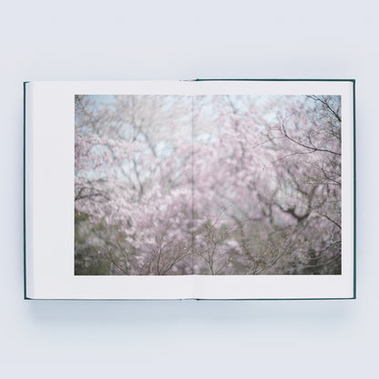 瀧本幹也 写真集「LUMIÈRE」（送料無料）