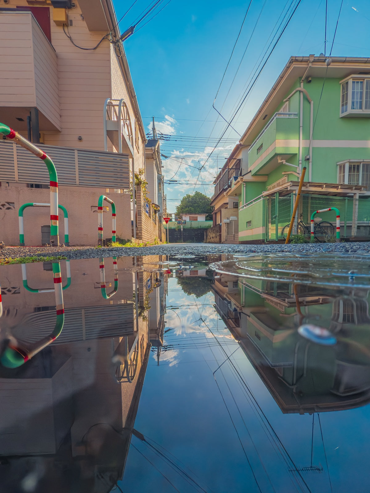 Shota｜Lightroomプリセット「bright reflection」「summer blue