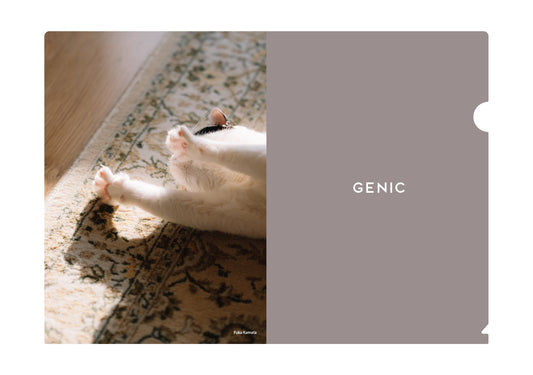 鎌田風花 オリジナルクリアファイル（送料無料）