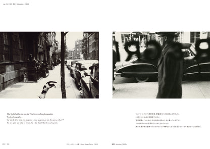 ソール・ライター「All about Saul Leiter ソール・ライターのすべて」（送料無料）