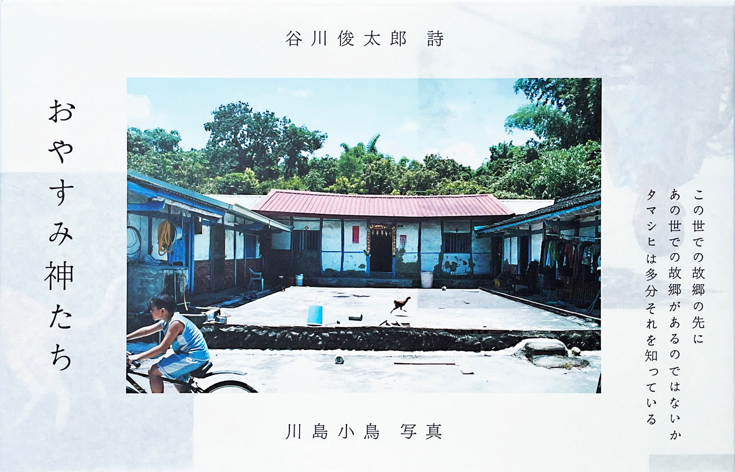 写真詩集「おやすみ神たち」写真 川島小鳥、詩 谷川俊太郎 （送料無料）