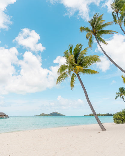 6151｜Lightroomプリセット「Ramune Soda」「Lunch Time」