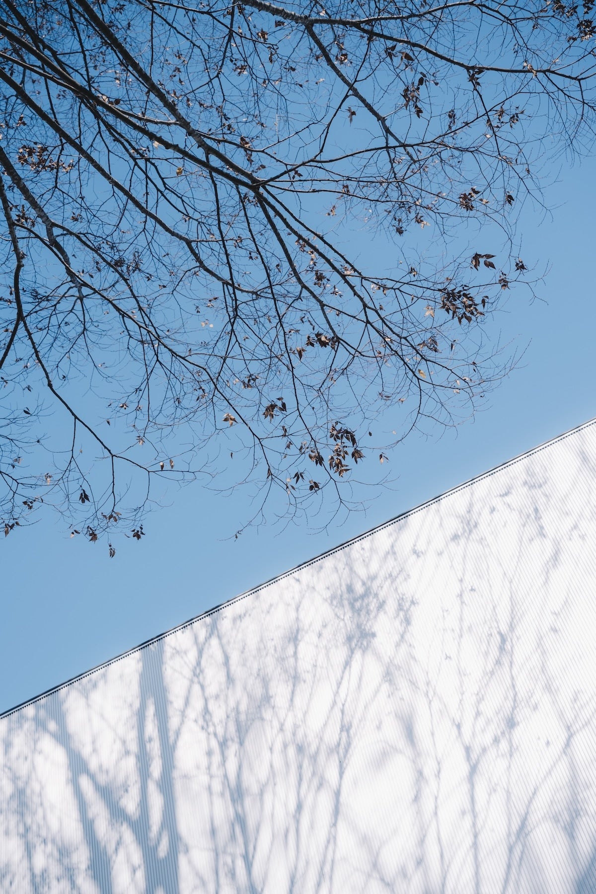 鎌田風花｜Lightroomプリセット「GlowAiry」「GlowTrace」