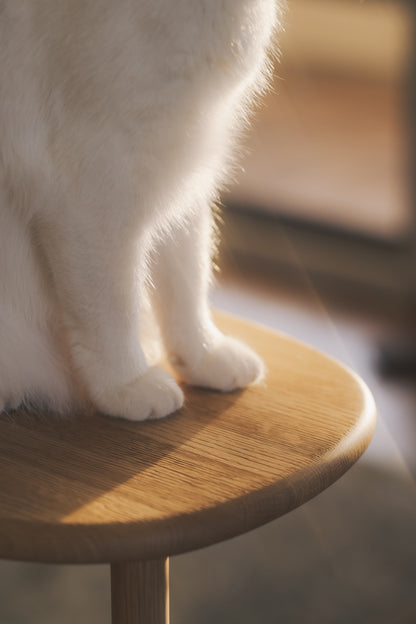 鎌田風花｜Lightroomプリセット「GlowAiry」「GlowTrace」