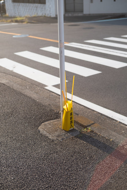 Kimura Hinami ｜Lightroomプリセット「Bloom in Light」「Corner of Light」