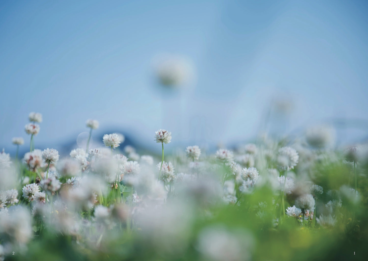 古性のち 著 『明日、もっと自分を好きになる 「私らしく生きる」をかなえる感性の育て方』（送料無料）