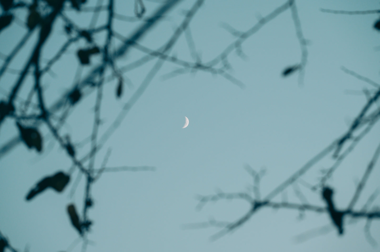 Kosei Nochi | Lightroom Presets "Awanagi01" and "Awanagi02"