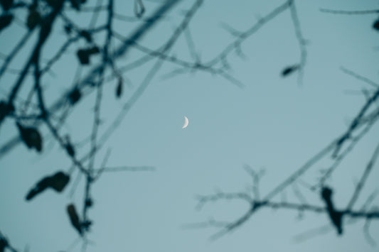 古性のち｜Lightroomプリセット 「Awanagi01」「Awanagi02」