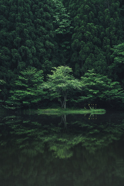 yukkey｜Lightroom Presets "-shinryoku-" and "-seijaku-"