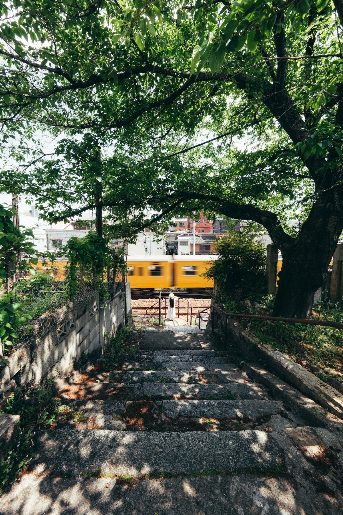 yukkey｜Lightroom Presets "-shinryoku-" and "-seijaku-"