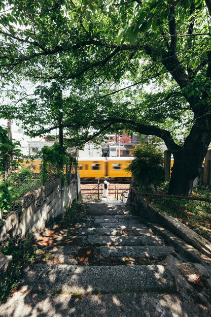 yukkey｜Lightroom Presets "-shinryoku-" and "-seijaku-"